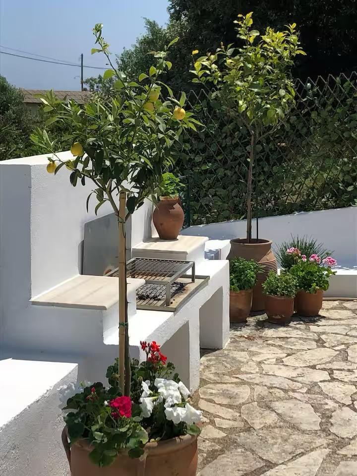 Built-in BBQ with lemon trees